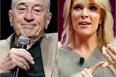 American actor Robert De Niro gives a shocking nine-word response after Megyn Kelly sharply criticized him in Hollywood’s war, calling him “extremely stupid”
