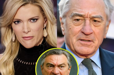 Robert De Niro’s Statement Stuns the Entire Studio with Shocking 8-Words after Megyn Kelly bluntly called him ‘Extremely stupid’ on television!