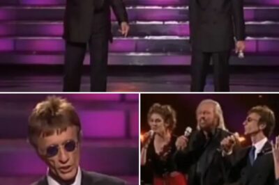 The Last Song They’d Ever Share: Barry And Robin Gibb’s Final Duet Will Break Your Heart