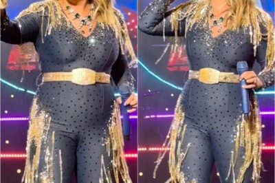 Miranda Lambert Stops Another Concert and Finally Responds to the ‘Selfie Backlash’