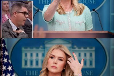 Karoline Leavitt slams AP reporter days after heated exchange over his ‘insulting’ question about tariffs