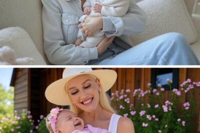 Gwen Stefani Spotted Caring for Baby Girl in Oklahoma, Sparking Rumors of a Daughter with Blake Shelto