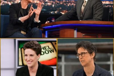 Rachel Maddow Destr0ys MSNBC Execs