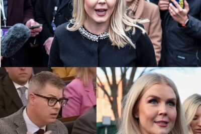 Sh0cking Fallout—Reporter FIRED After INSULTING Karoline Leavitt on Live TV