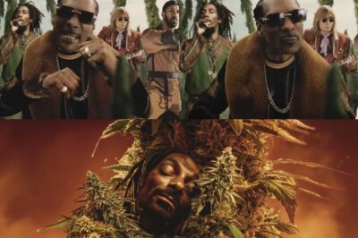 “Snoop Dogg Teams Up with Jelly Roll and Tom Petty to Create a Music Frenzy with ‘Last Dance with Mary Jane’: A Perfect Blend of Hip-Hop, Country, and Rock”