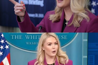 The truth revealed: There was no incident of a judge “slapping” White House Press Secretary Karoline Leavitt – Don’t be quick to believe the shocking rumors spreading online! Let’s uncover the real story behind the controversy that’s been stirring up public opinion in recent days.