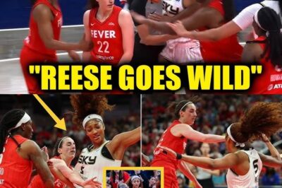 “Chicago Sky Coach Accuses Indiana Fever Fans of Intense Pressure, Calls for WNBA Intervention – The Most Heated Rivalry of the Season Sparks Unprecedented Controversy!”