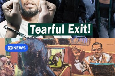 “The Sean ‘Diddy’ Combs Trial: A Shocking Legal Battle Unveiling a Hidden Criminal Network Within the Entertainment Industry”