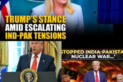 International shockwave: White House spokesperson reveals a Kashmiri waiter in Doha thanked Trump for preventing an India-Pakistan nuclear war, sparking fierce public debate over America’s true role!